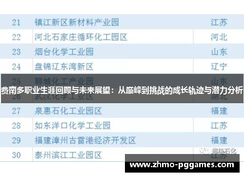 费南多职业生涯回顾与未来展望：从巅峰到挑战的成长轨迹与潜力分析