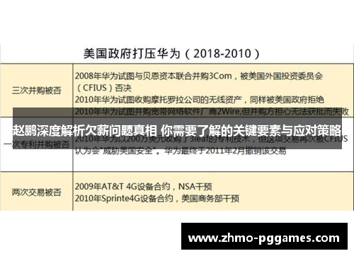 赵鹏深度解析欠薪问题真相 你需要了解的关键要素与应对策略
