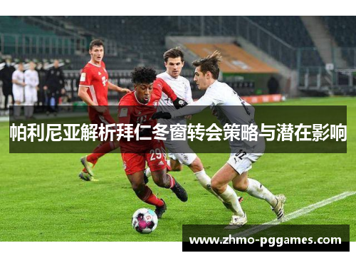 帕利尼亚解析拜仁冬窗转会策略与潜在影响