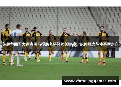 英超争四五大看点黑马搅局老将经验关键战定乾坤悬念丛生赛季走向